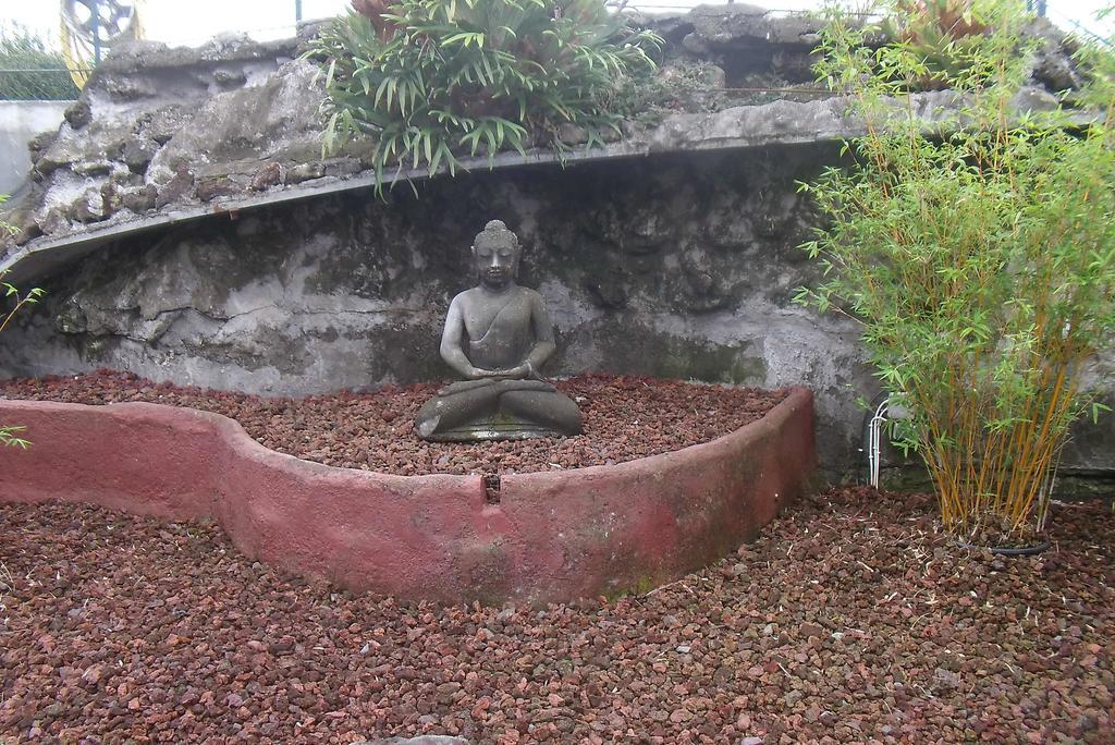 Les Grevilleas La Plaine des Cafres Zewnętrze zdjęcie