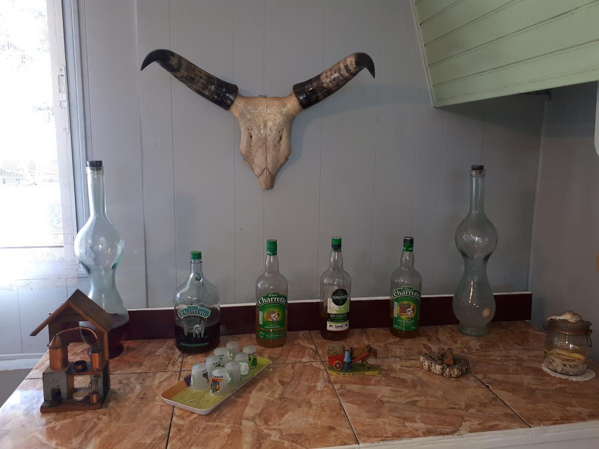 Les Grevilleas La Plaine des Cafres Zewnętrze zdjęcie