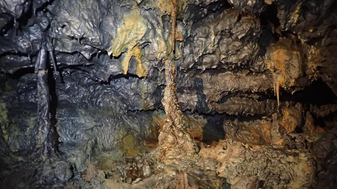 Les Grevilleas La Plaine des Cafres Zewnętrze zdjęcie